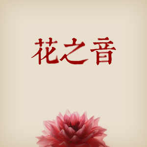 拼多多1000部动漫是什么
