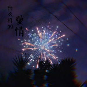 拼多多1000部动漫是什么
